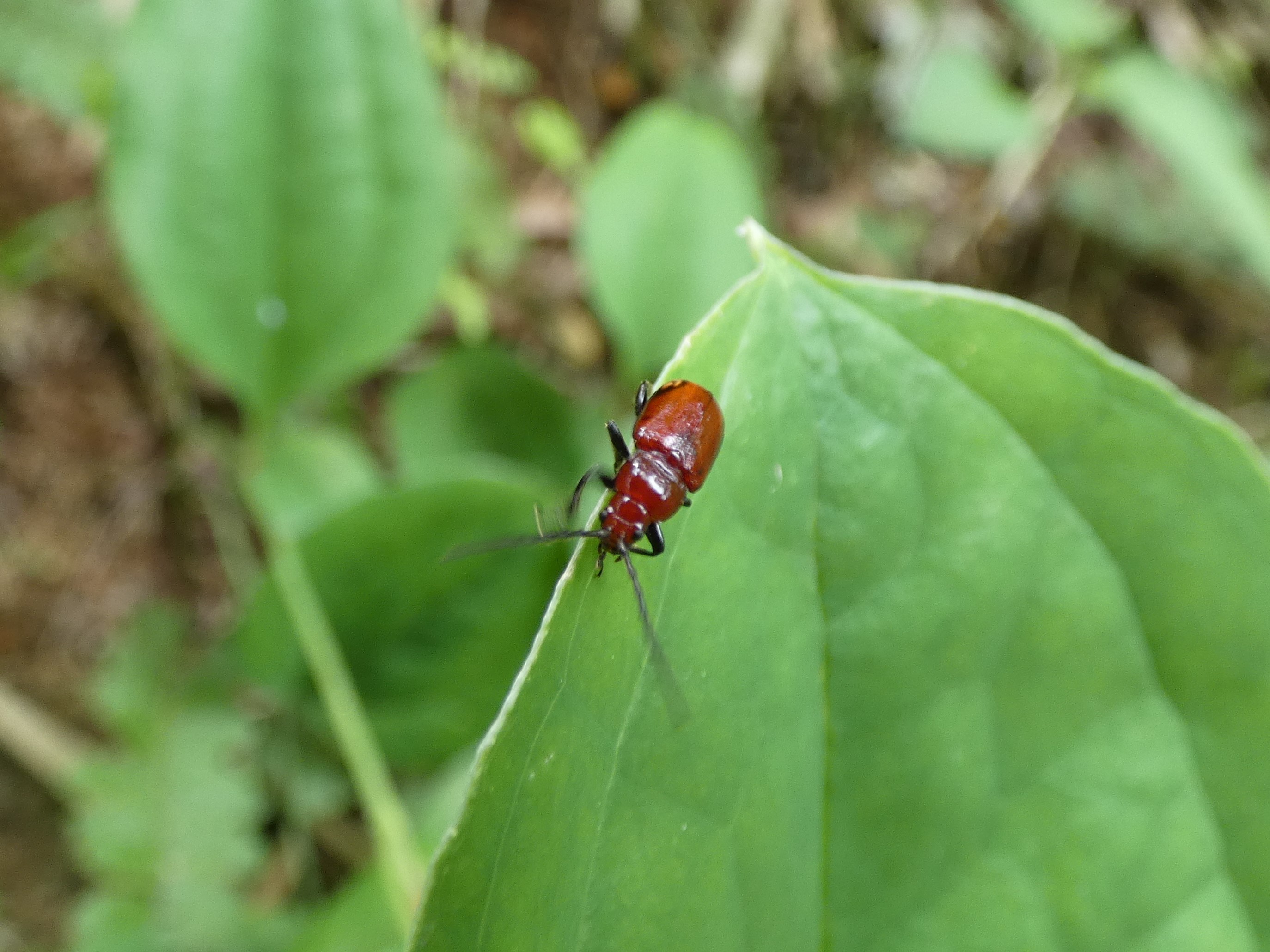 photo_1